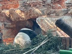 -石家庄市动物园