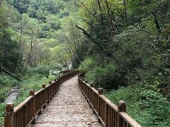 -兰州吐鲁沟国家森林公园