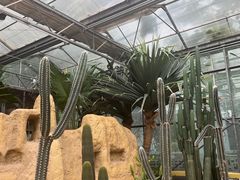 -南宫五洲植物乐园