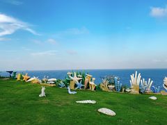 -放鸡岛生态旅游国际度假区