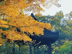 -上海醉白池公园
