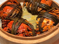 -杨氏青龙虾·羊蝎子(金盛路总店)