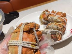-杨氏青龙虾·羊蝎子(金盛路总店)