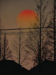 -Oasis Beauty水磨坊科技美肤中心