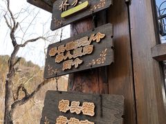 -步步高桥头糕