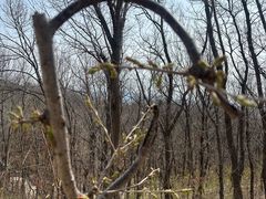 -红螺寺