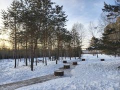 -北极村旅游风景区