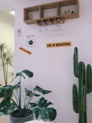 大堂-杨丹国际美学肌研所