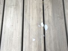 -Boxing Cat Brewery拳击猫精酿啤酒馆(永福店)