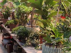 -双季花艺园艺市场(浦东店)
