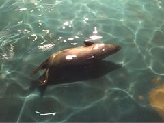 -邯郸海洋世界