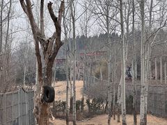 -济南野生动物世界