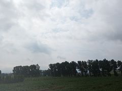 -陕北农家小吃风干羊肉剁荞面