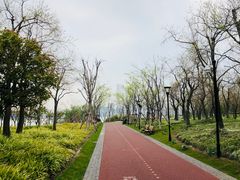 -上海山野camping·户外天幕烧烤·团建拓展营地