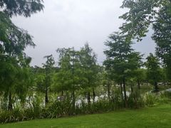 -上海长兴岛郊野公园