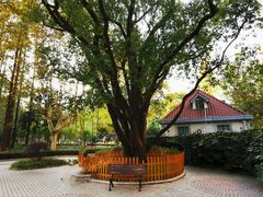 -徐家汇源景区-衡山公园