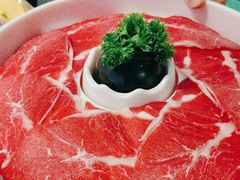 -洪氏嗨捞·猪肚鸡火锅(阳光天地店)