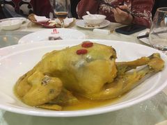 神仙跑山鸡-乐和餐饮(活力源店)