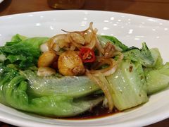 白灼罗马生菜-广州海鲜酒楼(长丰园店)