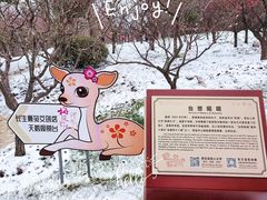 -梅花山(明孝陵内)