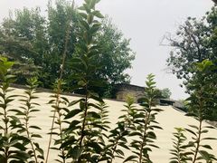 -后海16号·北京私房菜