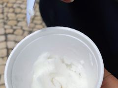 -洪馨椰子
