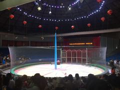 -西安秦岭野生动物园