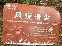 -华侨城湿地公园