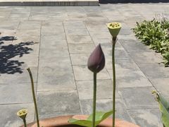 -李叔同故居纪念馆