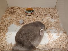 -龙猫仔乐园(惠福东路店)