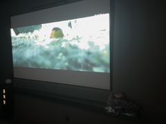 -水云阁·5D影院足浴·SPA(高新店)