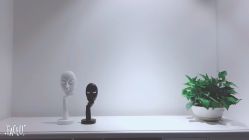 -MJ skin care国际皮肤管理中心