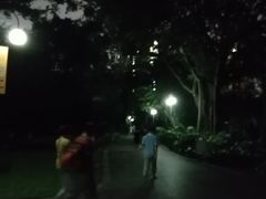 -晓港公园