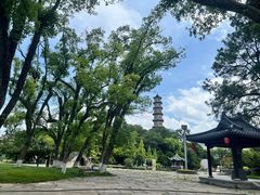 -江心屿景区