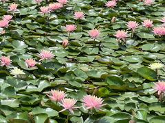 -白鹭湾湿地公园