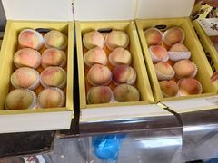 -南汇水蜜桃采摘(大团店)