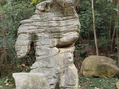 -赭山公园