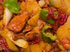 -巴依老爷新疆美食(望京小街店)