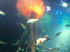 -沈阳海洋探索中心