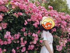 -习家池