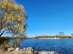 -大兴滨河森林公园