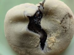 -昆艺糕团