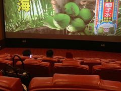 -卢米埃影城(住总万科杜比全景声激光店)