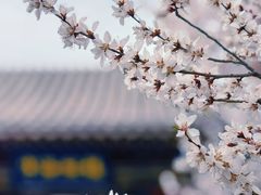 -迎泽公园