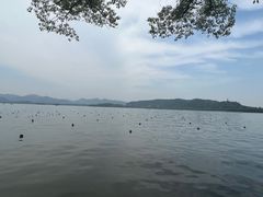 -西湖游船