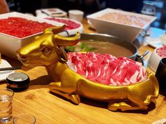 -小饕荟养生火锅(仁和·熙春郡店)
