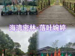 -上海海湾国家森林公园