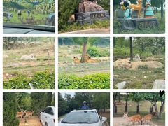 -济南野生动物世界