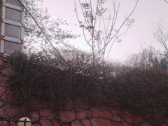 -思念果岭悦温泉