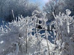 -中旅松花湖滑雪场
